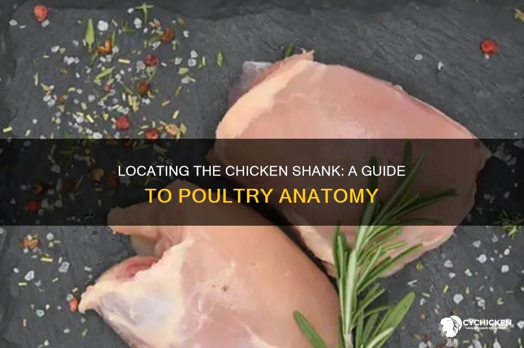 where is the shank located on a chicken