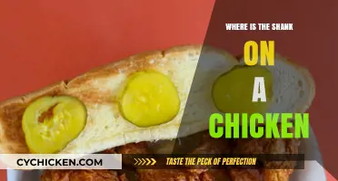 Locating the Chicken Shank: A Guide to Poultry Anatomy