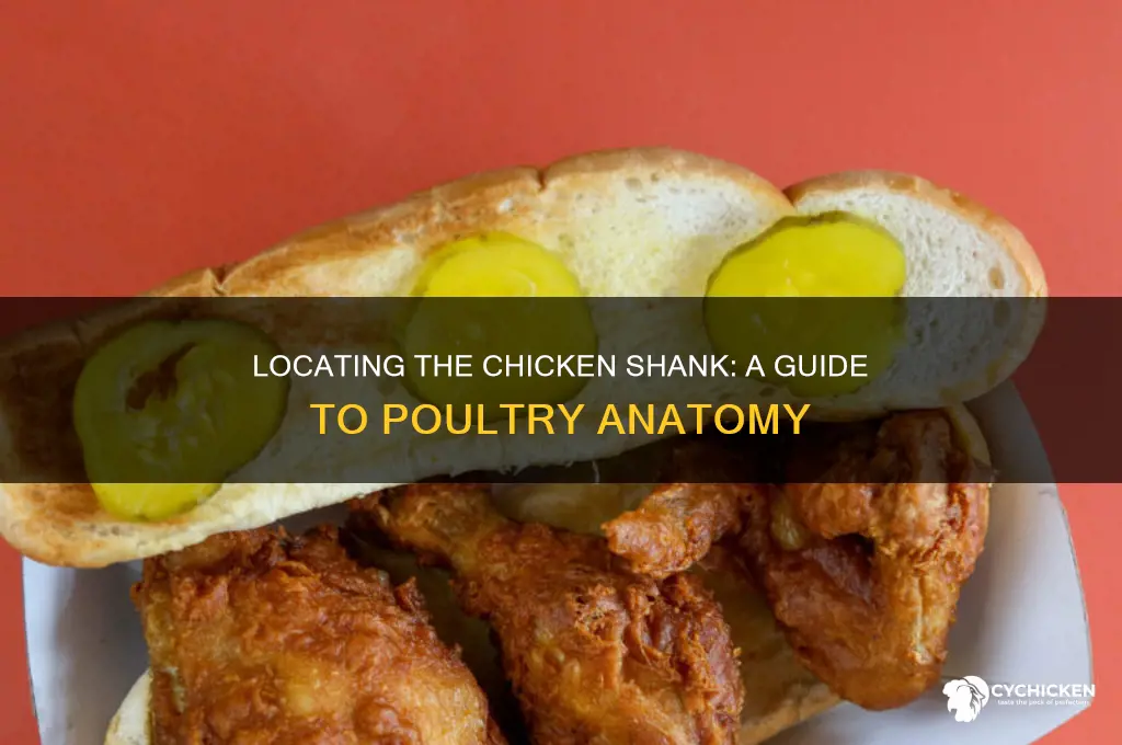 where is the shank on a chicken