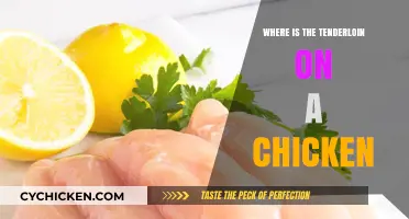 Where to Find the Tenderloin on a Chicken: A Guide