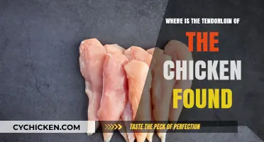 Locating the Tenderloin: A Guide to Chicken's Hidden Gem