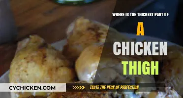 Locating the Meatiest Section: Where is the Thickest Part of a Chicken Thigh?