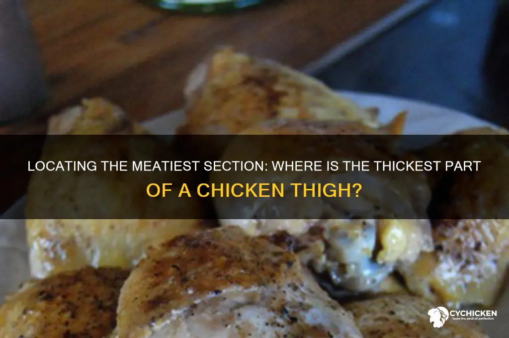 where is the thickest part of a chicken thigh