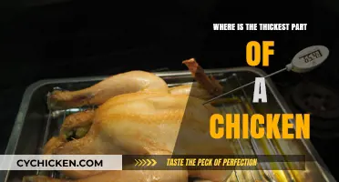Uncovering the Chicken's Thickest Part: A Culinary Anatomy Guide