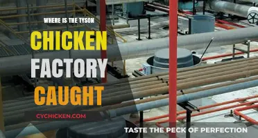 Tyson Chicken Factory Location: Uncovering the Source of Your Poultry