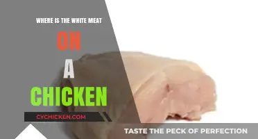 Where to Find White Meat on a Chicken: A Simple Guide