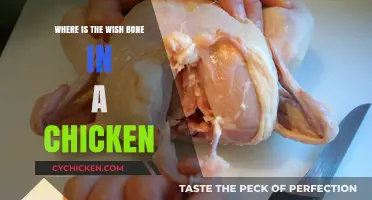 Finding the Wishbone: Locating the Lucky Fork in a Chicken