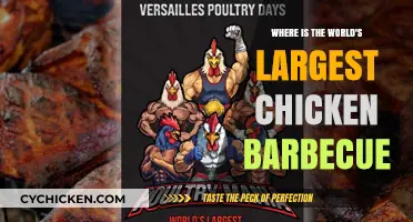 Discovering the World's Largest Chicken Barbecue: Location and Feast