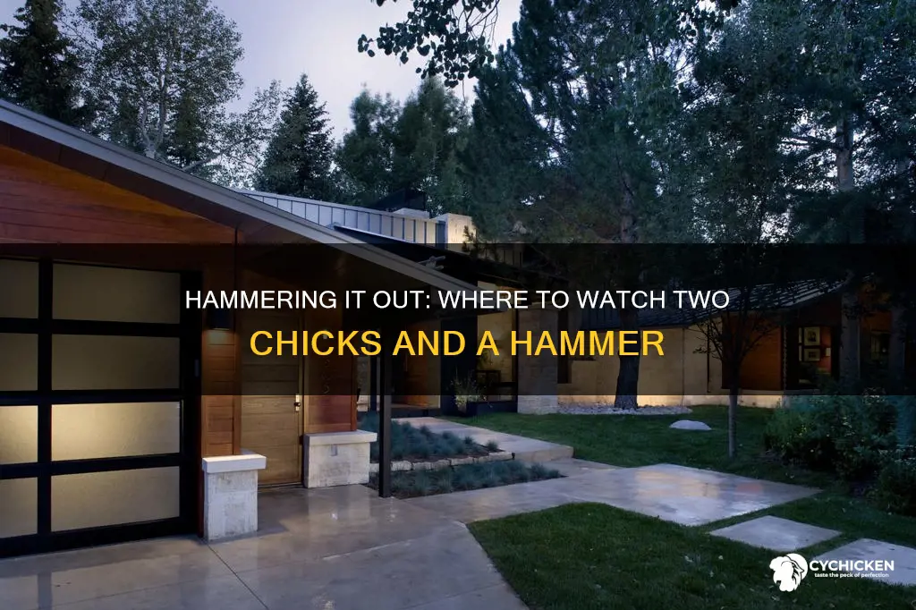 where is two chicks and a hammer on tv