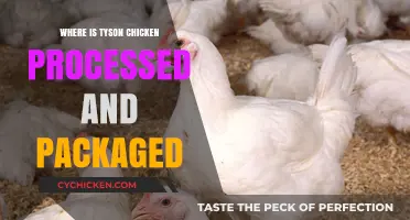 Where is Tyson Chicken Processed and Packaged? A Detailed Guide