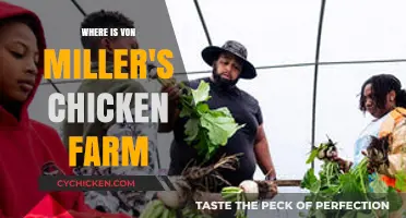 Von Miller's Chicken Farm: Location, Size, and Sustainable Practices Revealed
