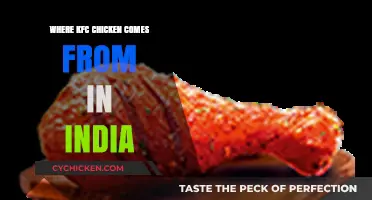 Unveiling the Source: Where KFC Chicken Comes From in India