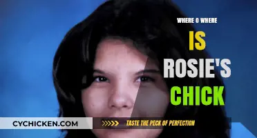 Where is Rosie's Chick? A Heartwarming Search for the Missing Baby Bird