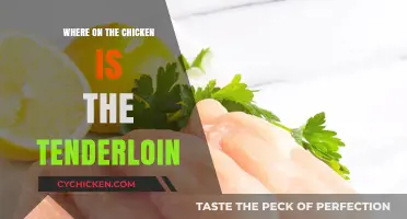Discovering the Chicken Tenderloin: Location and Culinary Uses Explained