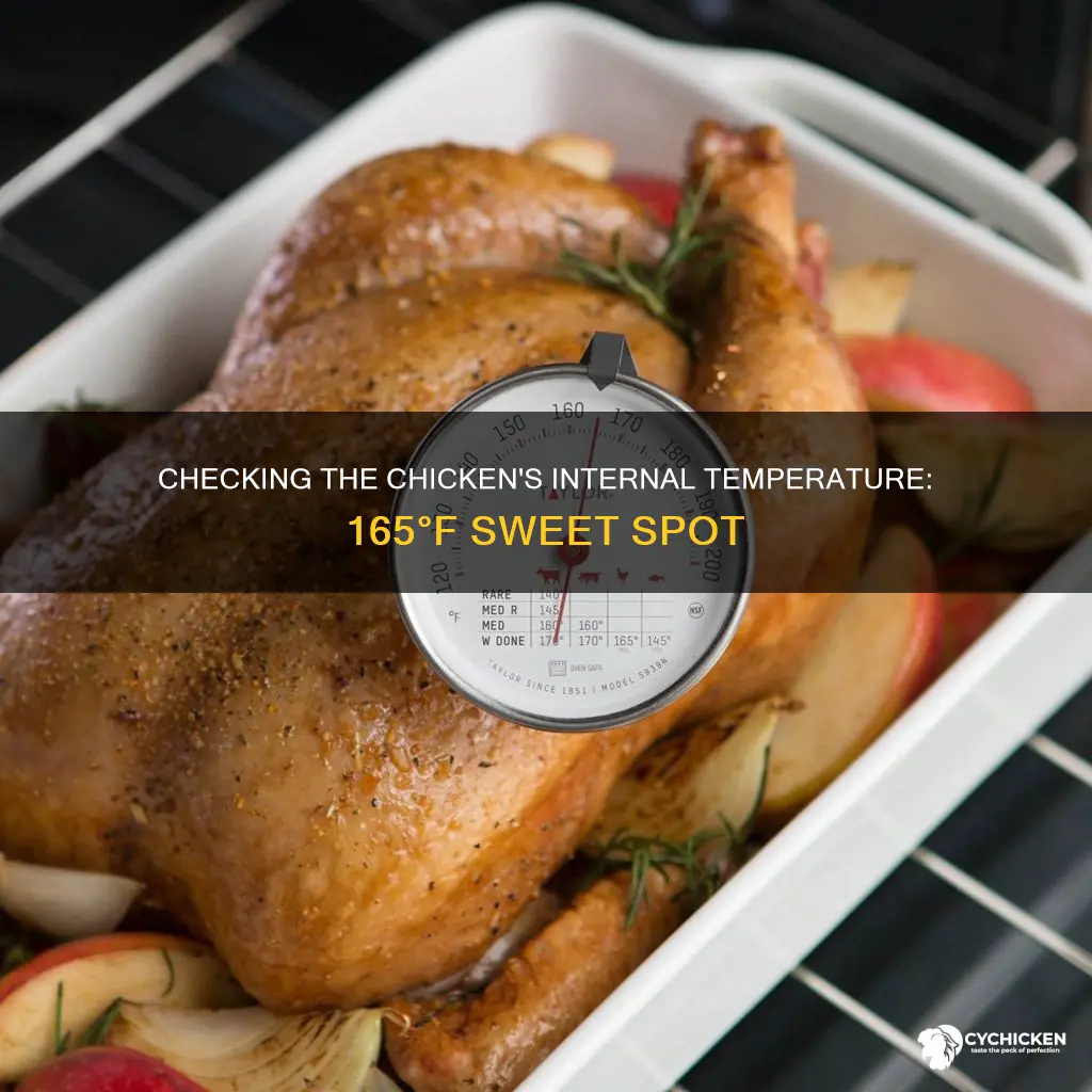 where on the chicken to check for 165 degrees fahrenheit
