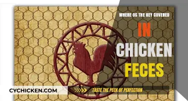 Uncovering the Mystery: Key Found in Chicken Coop Feces
