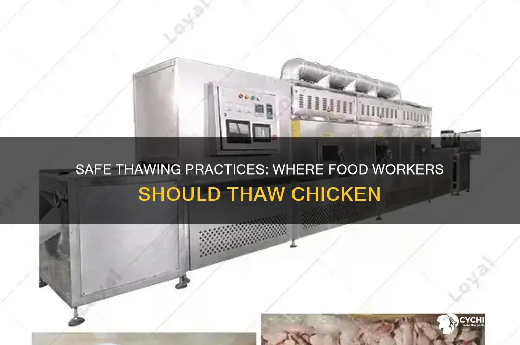 where should the food worker thaw the chicken