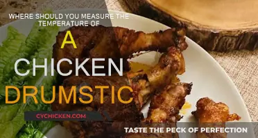 The Best Place to Measure a Drumstick's Temperature
