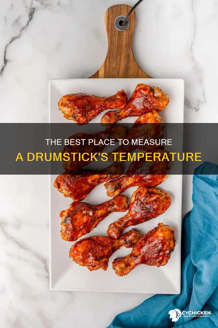 where should you measure the temperature of a chicken drumstick