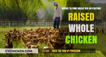Discovering Local Sources for Grass-Fed, Pasture-Raised Whole Chicken