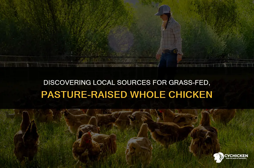 where t0 find grass fed or pasture raised whole chicken