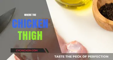 Where the Chicken Thigh: Uncovering the Best Cuts and Culinary Secrets
