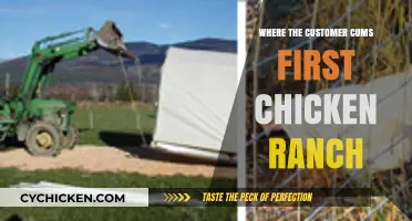 Customer Satisfaction Reigns Supreme at the Chicken Ranch