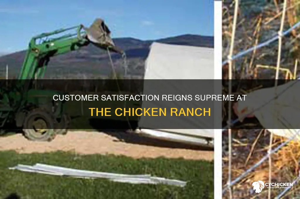 where the customer cums first chicken ranch