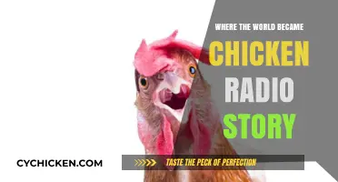 Where the World Became Chicken: A Radio Story of Transformation