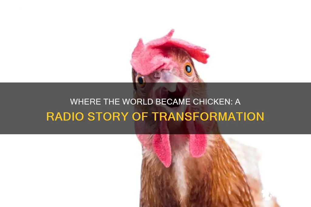 where the world became chicken radio story