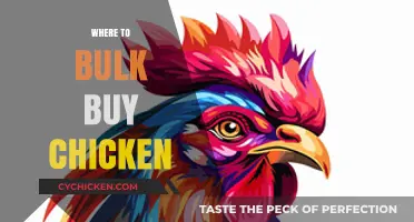Top Wholesale Sources for Bulk Chicken Purchases at Affordable Prices