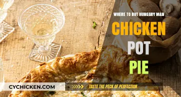 Savoring Hungary: A Guide to Authentic Chicken Pot Pie