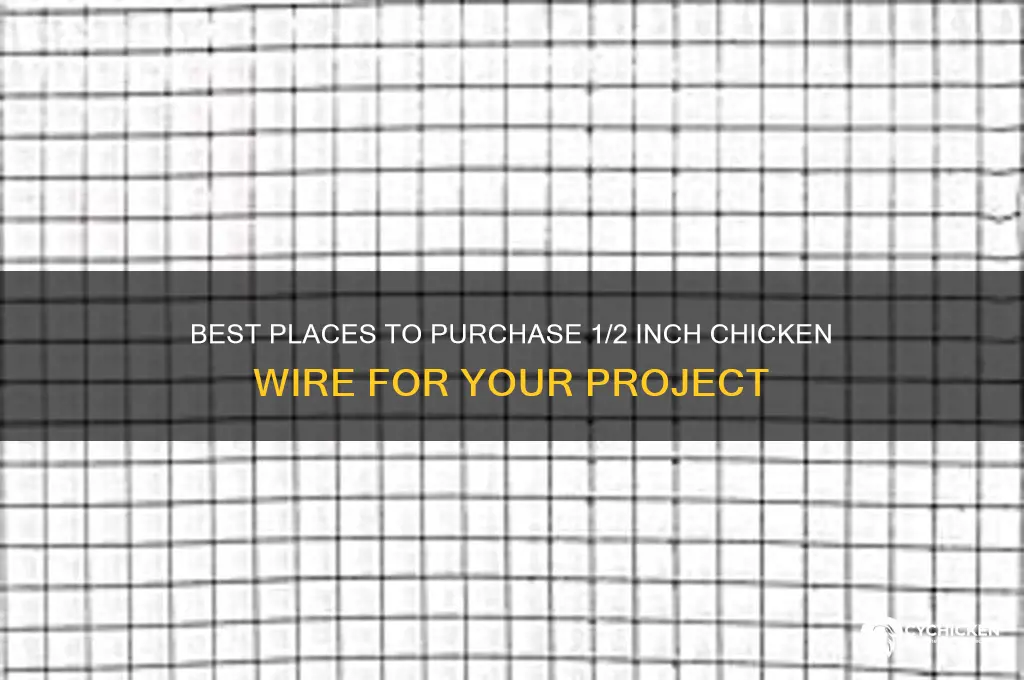 where to buy 1 2 inch chicken wire