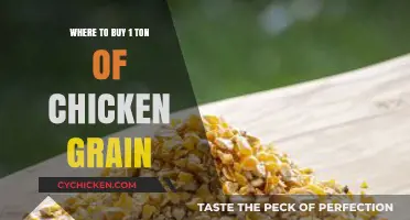 Best Places to Purchase 1 Ton of Chicken Grain for Farms
