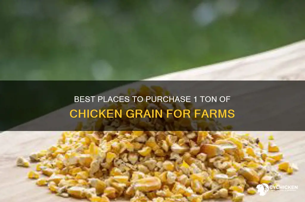 where to buy 1 ton of chicken grain