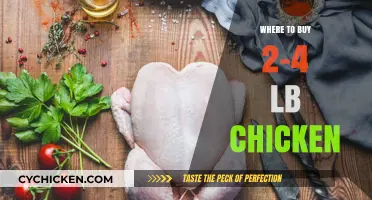 Best Places to Purchase 2-4 lb Chickens for Home Cooking