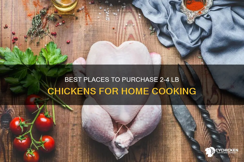 where to buy 2-4 lb chicken