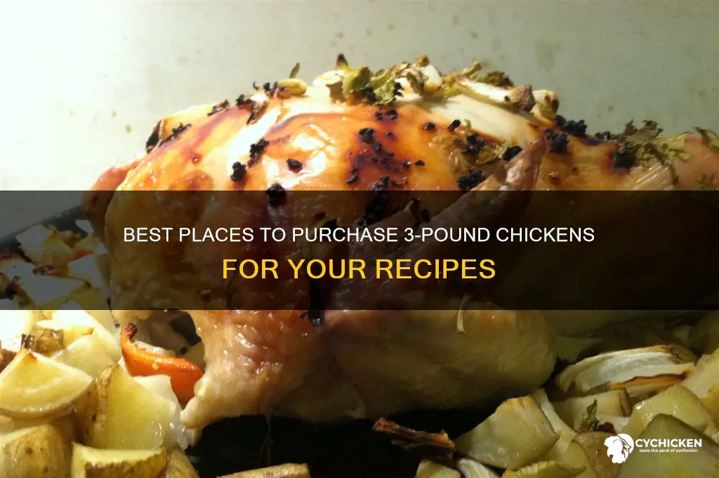 where to buy 3 lb chicken