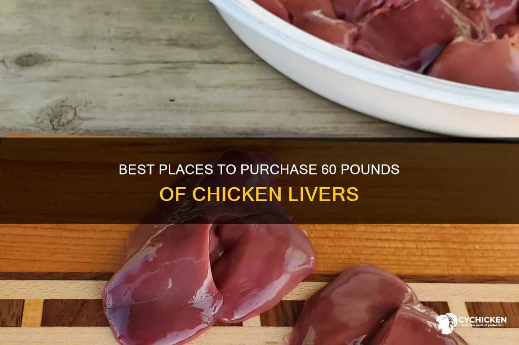 where to buy 60 pounds chicken livers