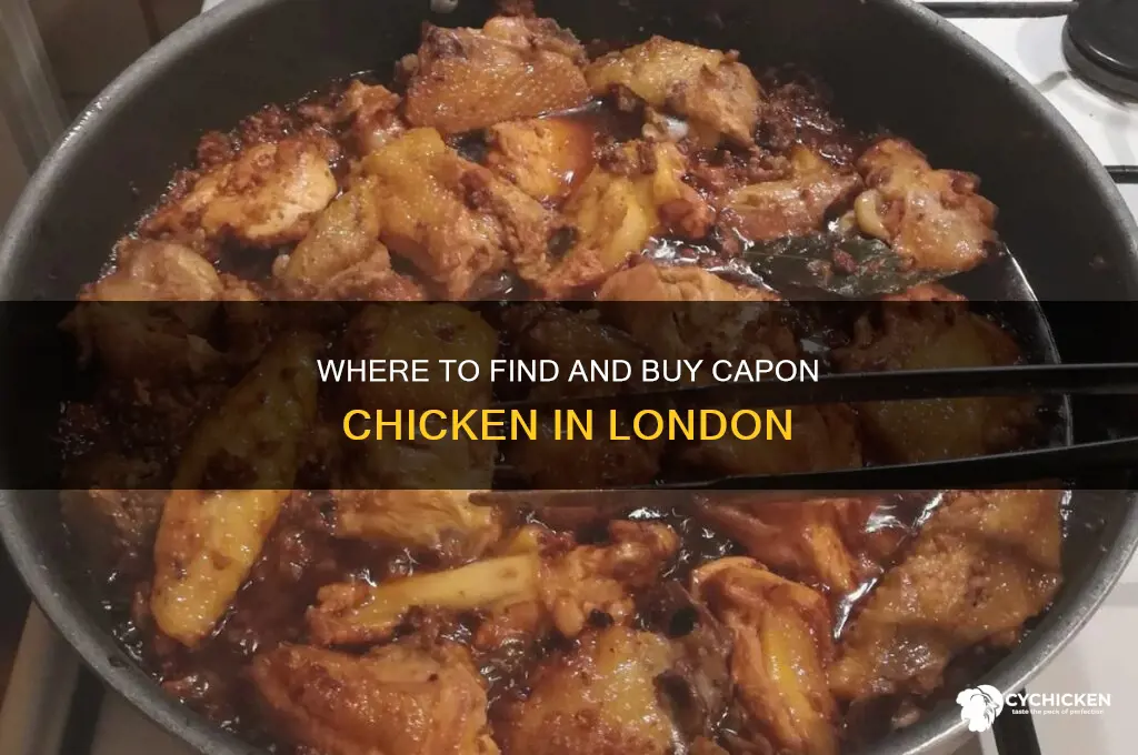 where to buy a capon chicken in london