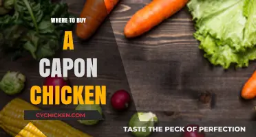 Where to Buy Capon Chicken: Top Retailers and Local Sources