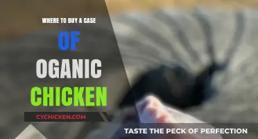 Top Organic Chicken Case Suppliers: Where to Buy Fresh and Healthy Poultry
