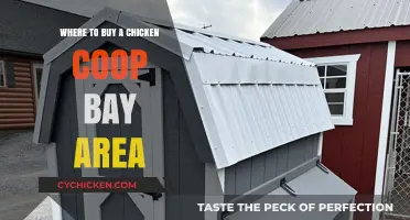 Best Bay Area Chicken Coop Suppliers: Where to Buy Locally