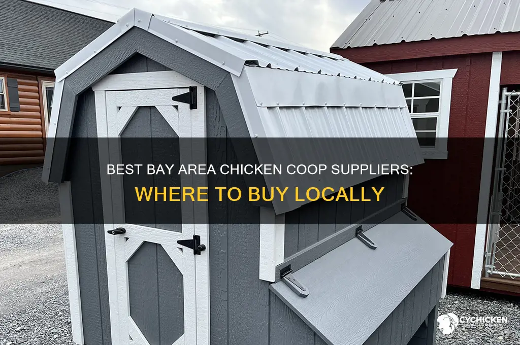 where to buy a chicken coop bay area