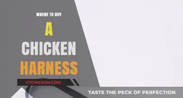 Where to Find the Perfect Chicken Harness for Your Pet
