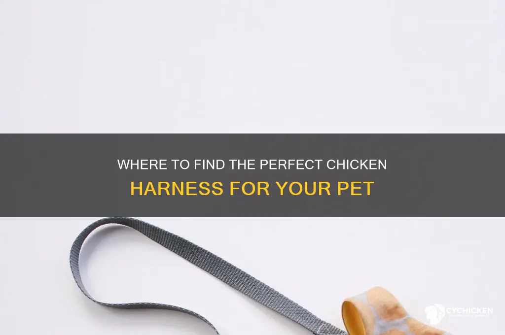 where to buy a chicken harness