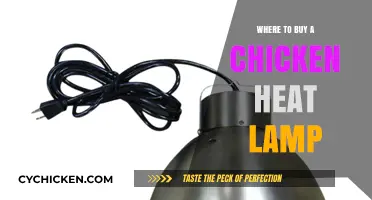 Best Places to Purchase a Chicken Heat Lamp for Your Flock