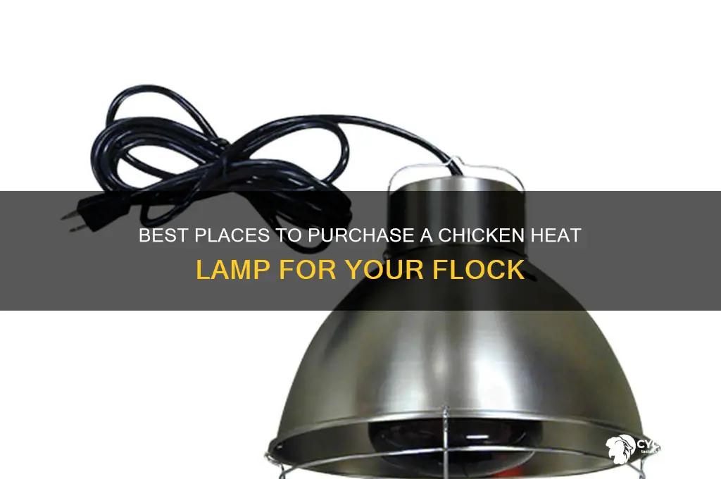 where to buy a chicken heat lamp