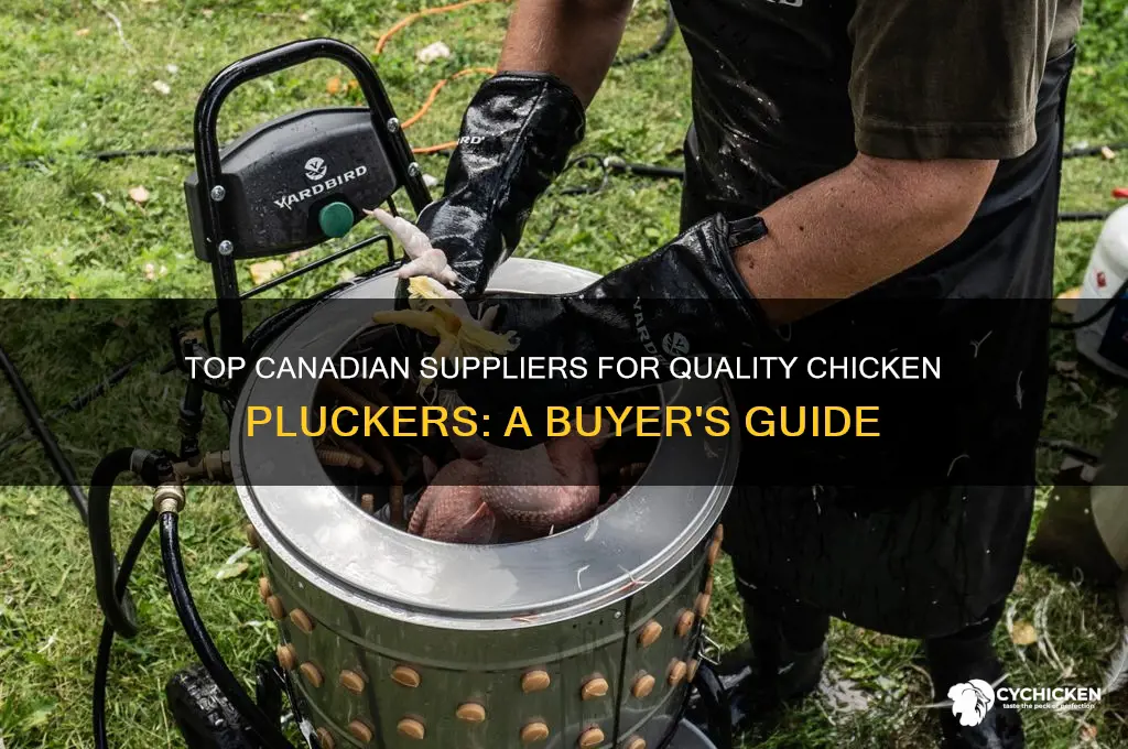 where to buy a chicken plucker in canada