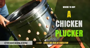 Top Places to Purchase a Reliable Chicken Plucker for Your Farm